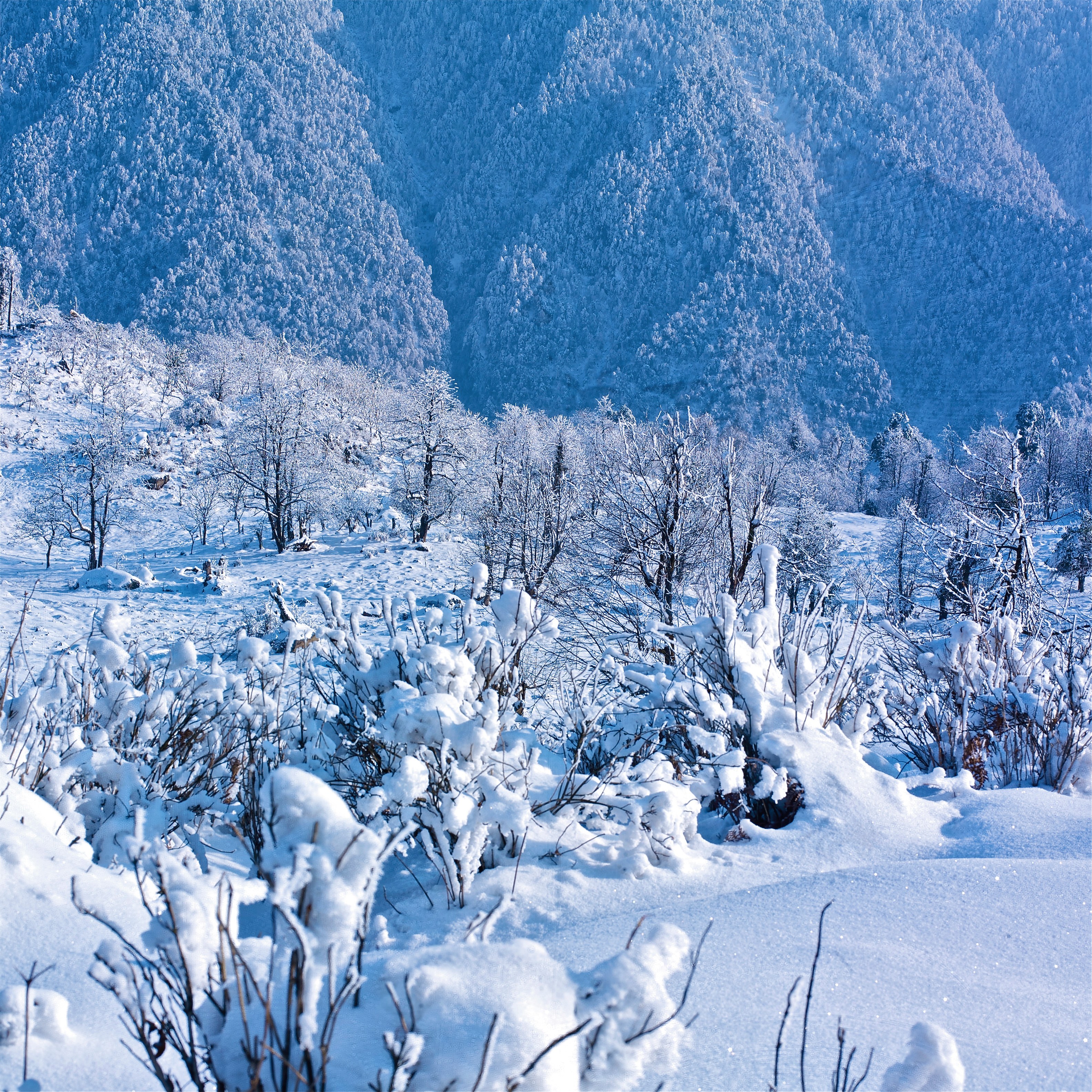 黑竹沟景区| 感恩有你 温暖同行