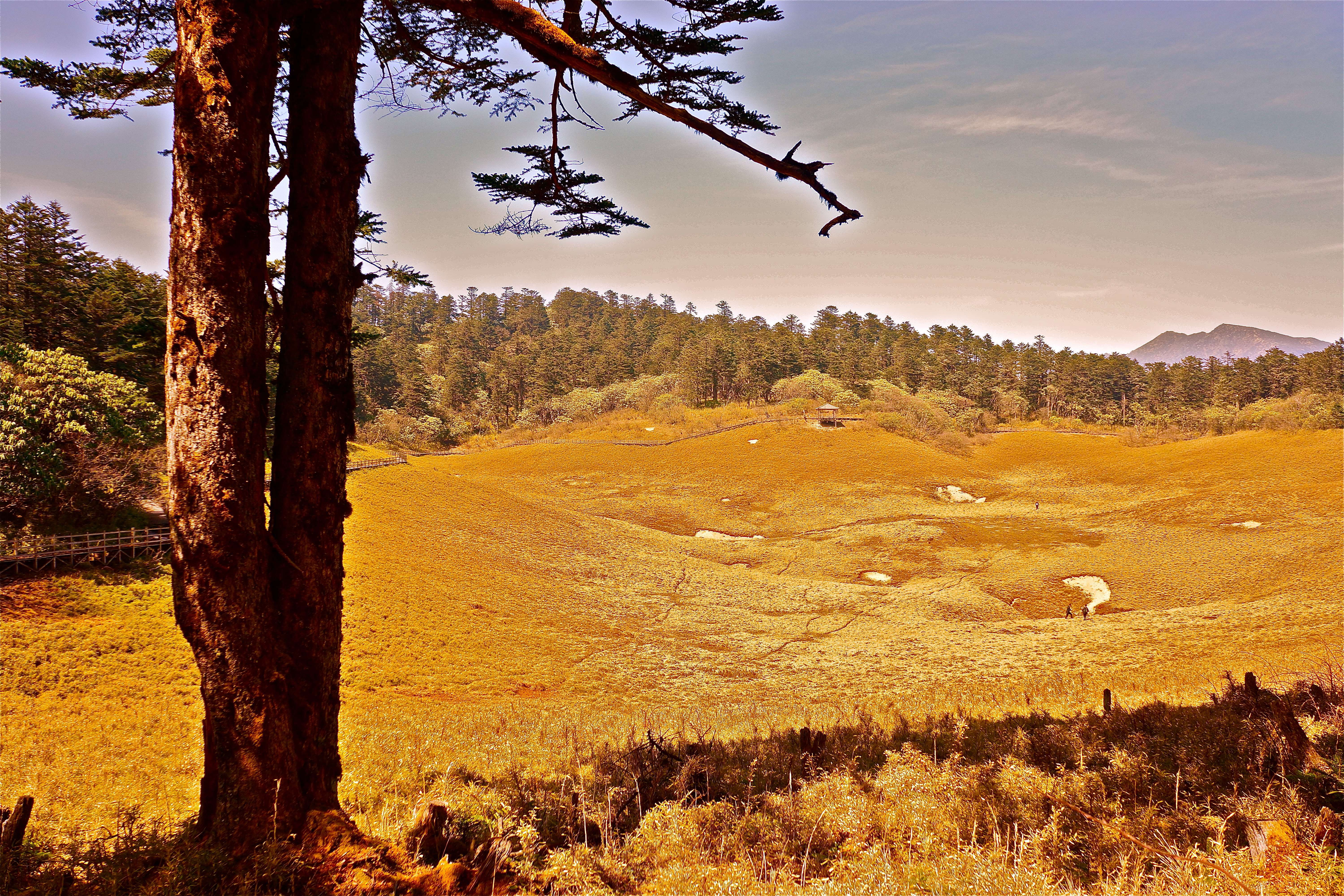 四川峨边：黑竹沟美景醉游人