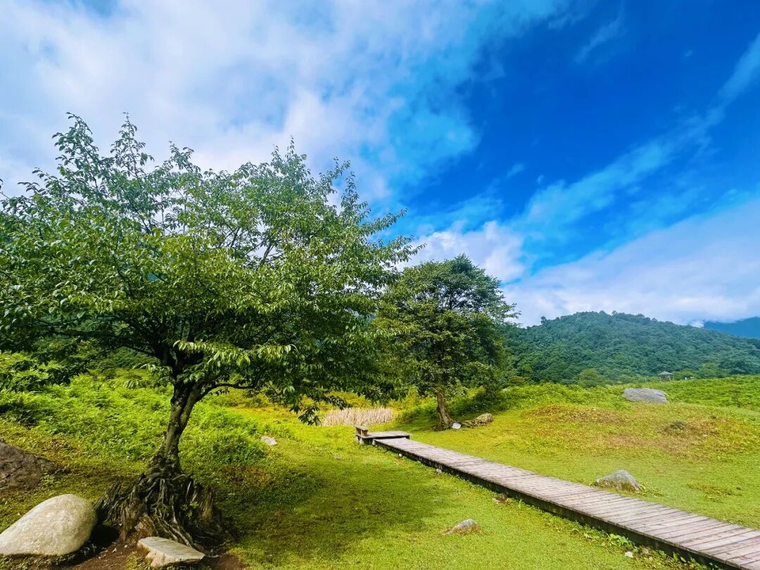 马里冷旧 vs 蜂巢岩，两条线到底怎么选？