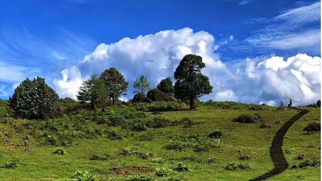 ｜立秋｜黑竹沟，接住秋天的第一缕山风